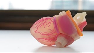 Tissue Engineering and Artificial Organs